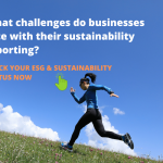 What challenges do businesses face with their sustainability reporting?